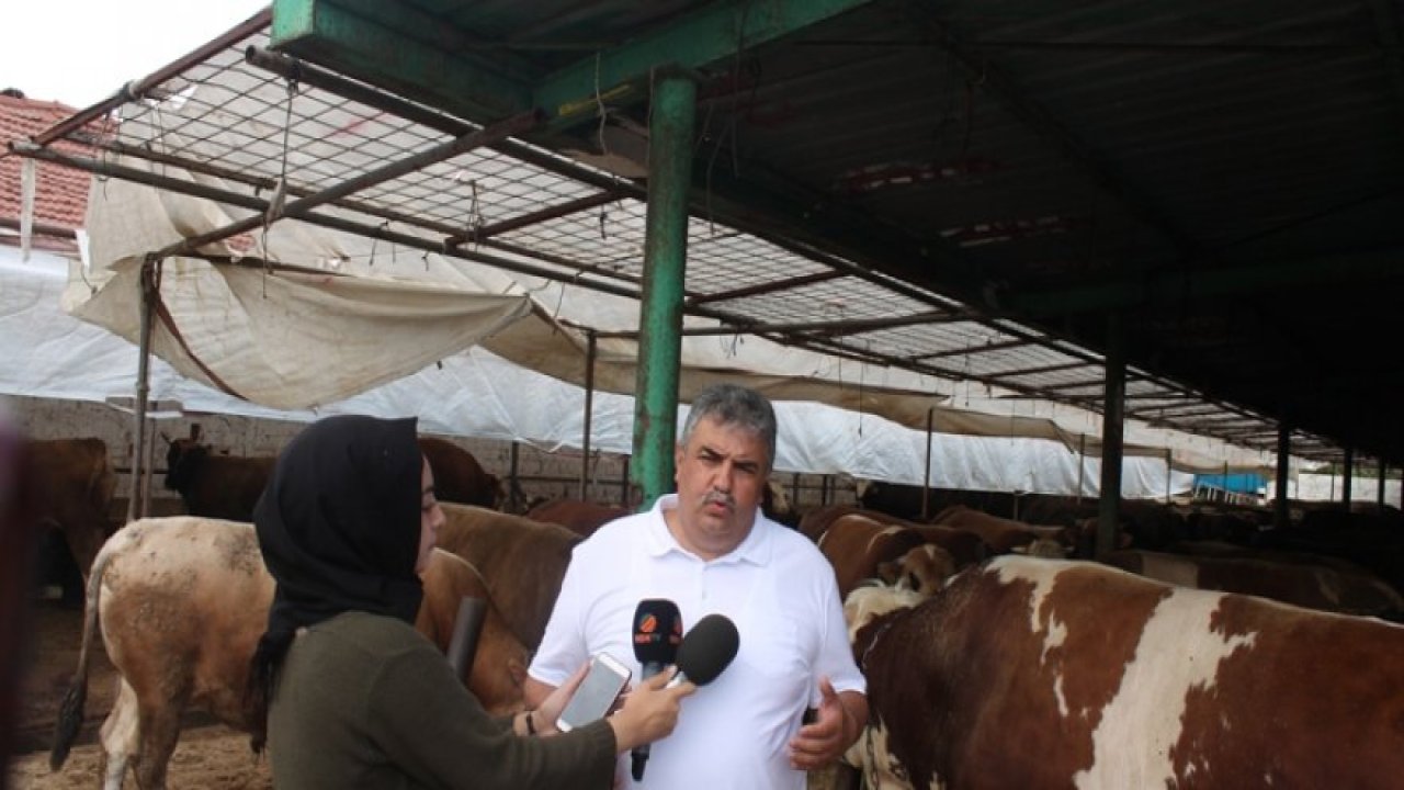 2019 kurban fiyatları açıklandı