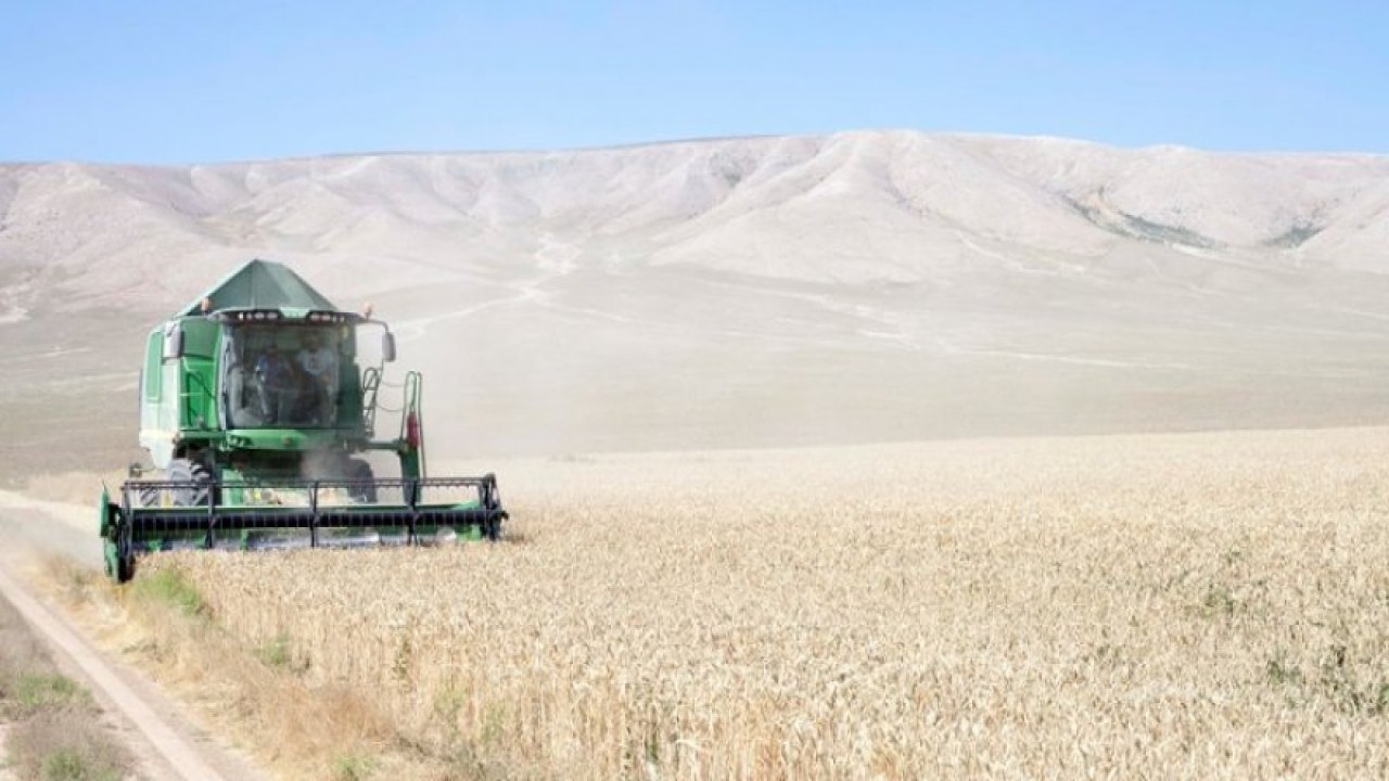 Dönümünden 2 ton buğday alındı