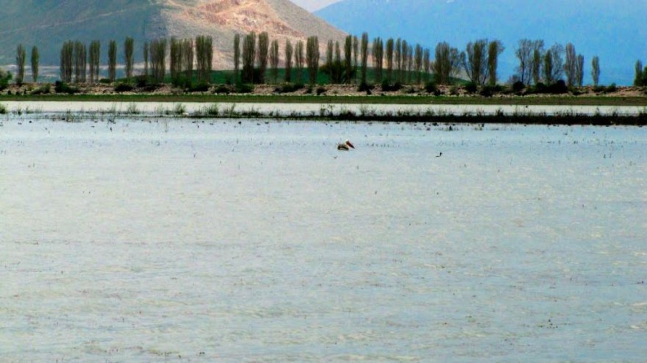 Ilgın Çavuşçu Gölü