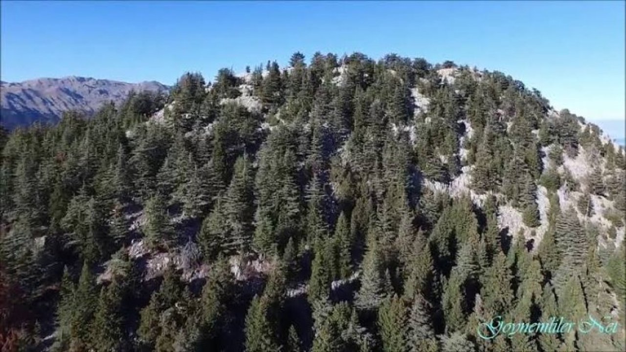 Göynükbel yaylası ve İvgeles tepesi Göynem