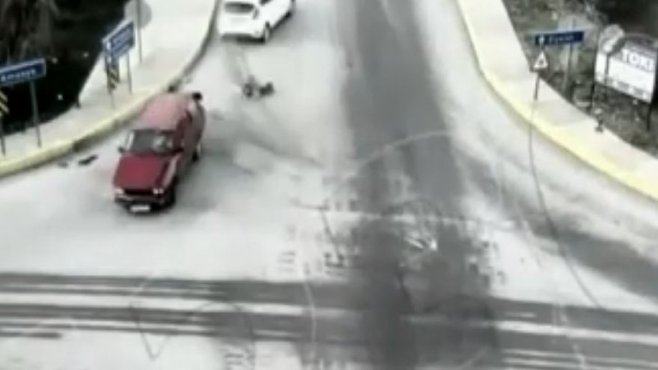 İki otomobil çarpıştı, bagajdaki köpekler yola savruldu