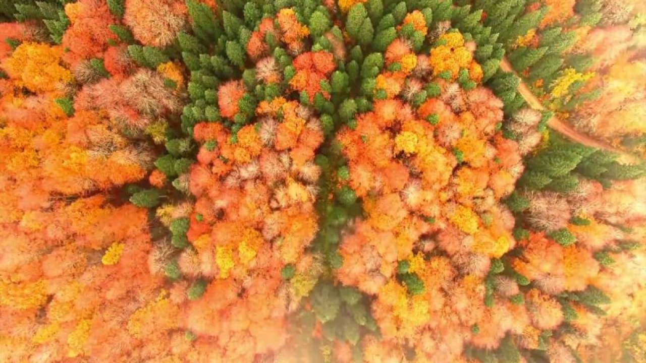 Küre Dağları Tanıtım Filmi Biyolojik Çeşitlilik ve Jeoloji