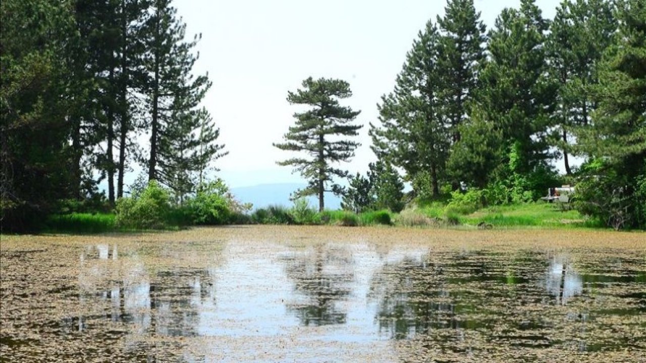 Sülüklü Göl, BANAZ/Uşak
