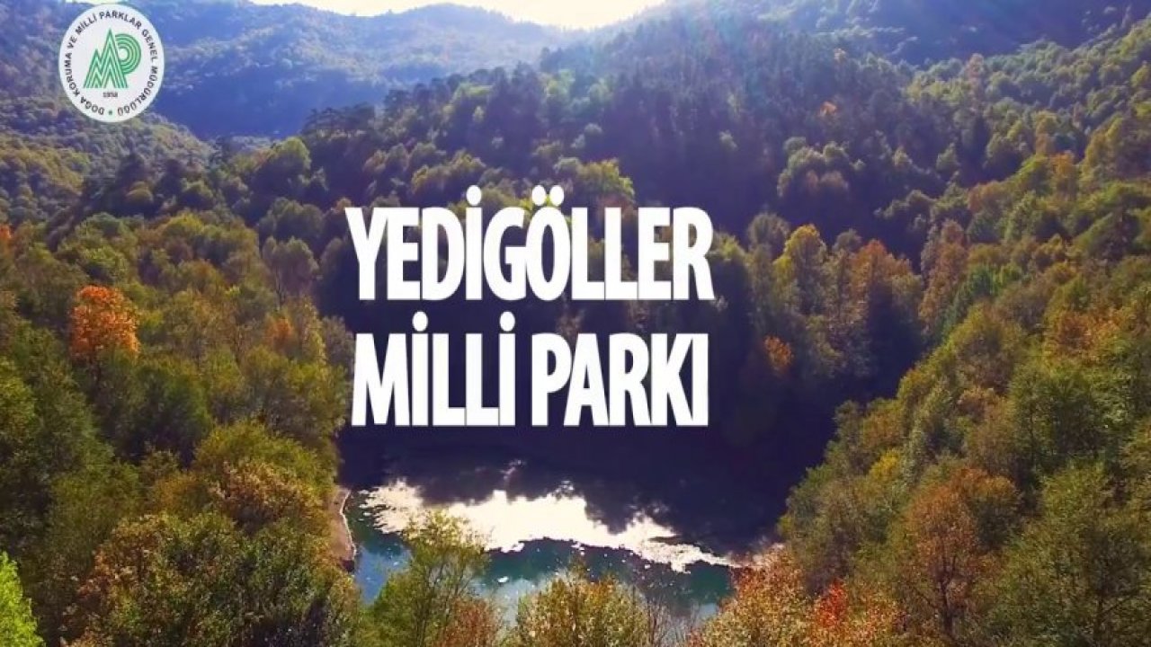 YEDİGÖLLER MİLLİ PARKI-MOBİL UYGULAMA TANITIM FİLMİ