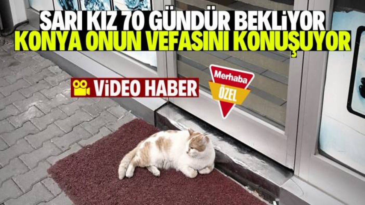 Konya'da Sarı Kız 70 gündür hasretle bekliyor