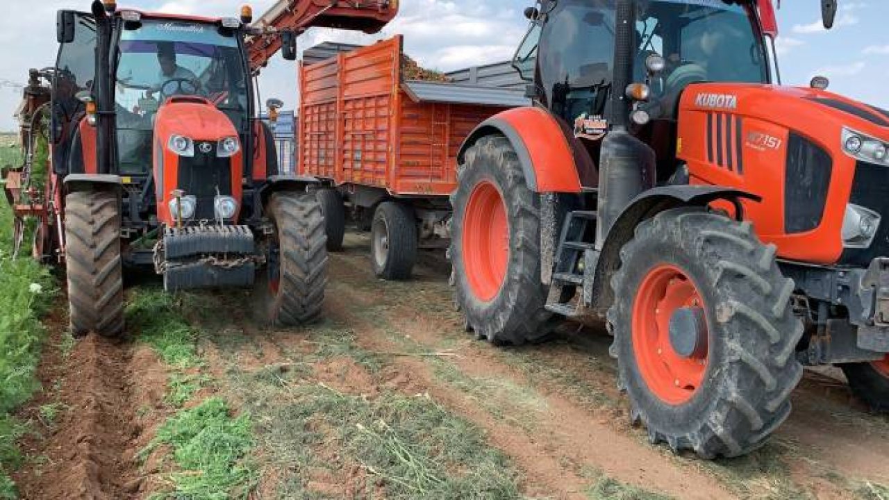 Konya Kaşınhanı havuç hasadı