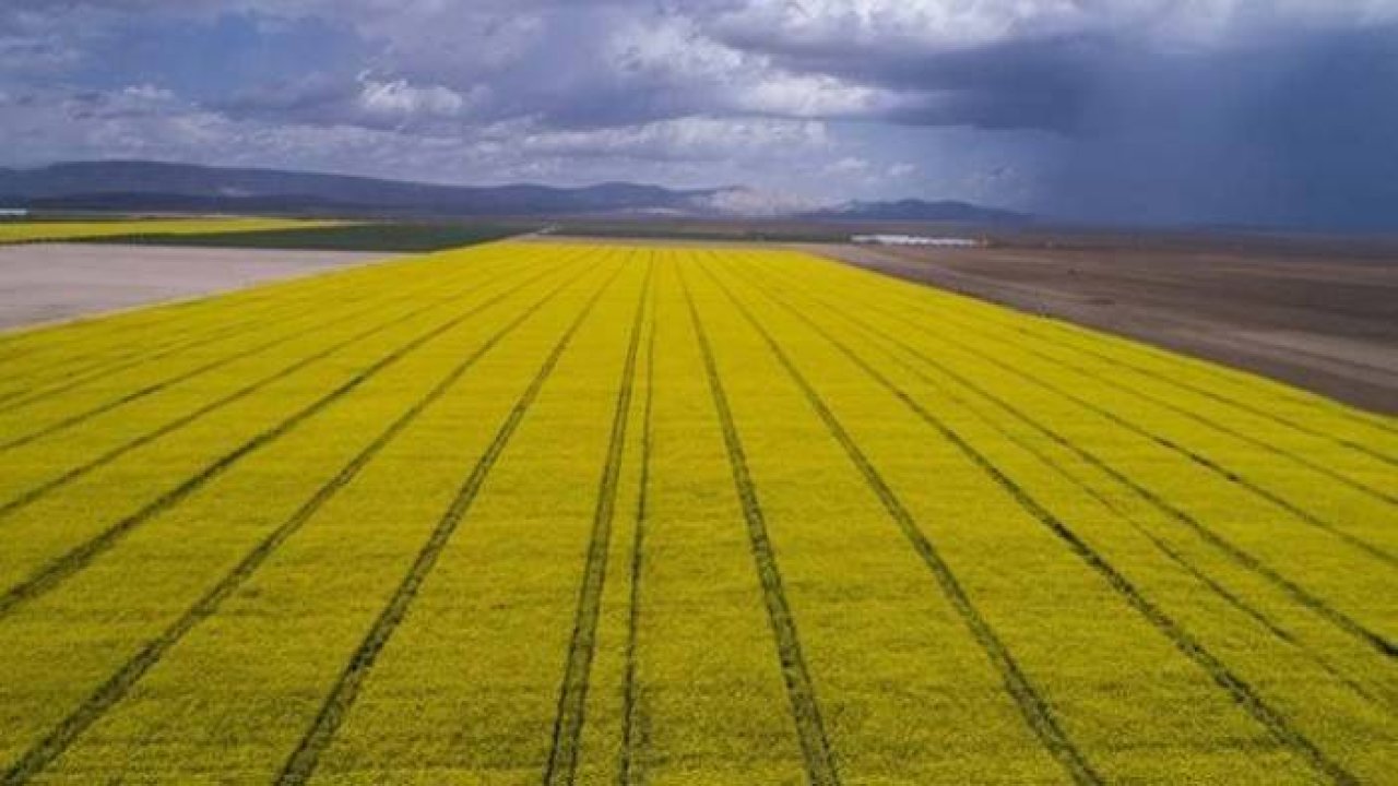 Konya Ovası manzara