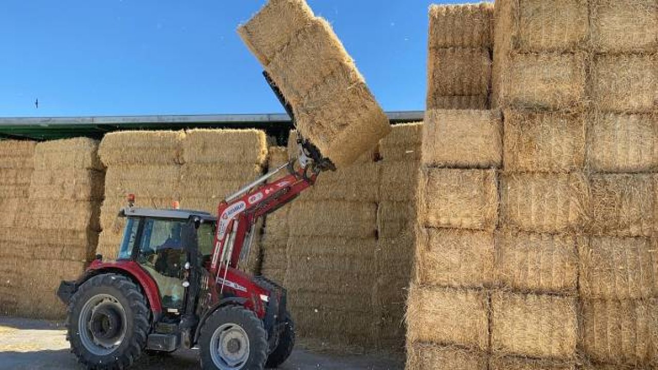 Konyalı çitfçiden sanatsal çalışma