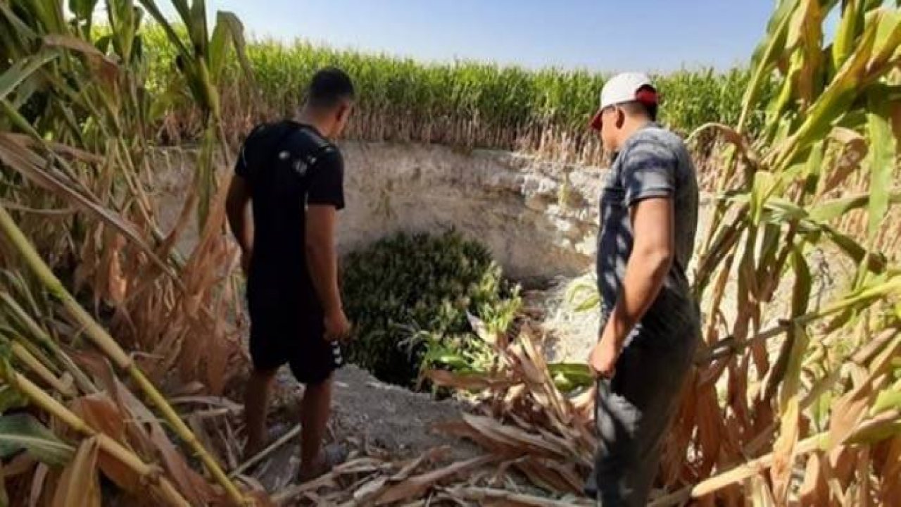 Konya'da mısır tarlasında obruk oluştu