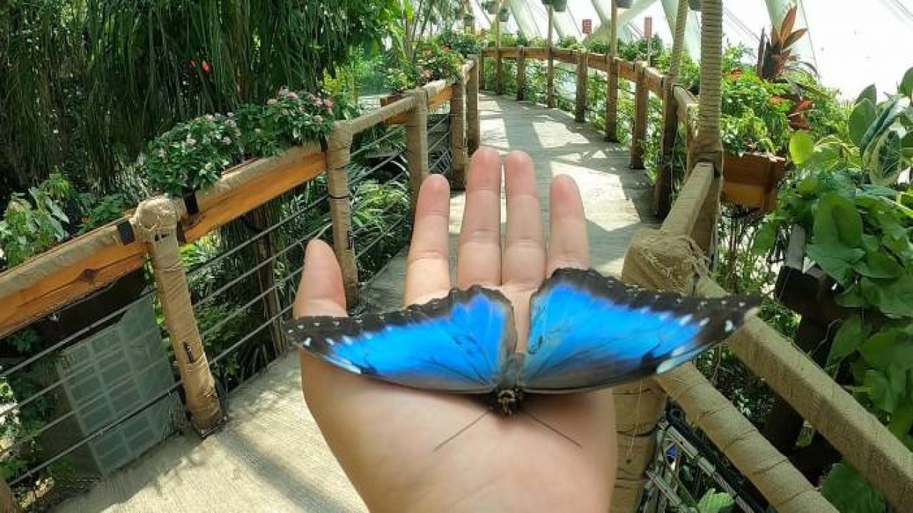 KONYA KELEBEKLER VADİSİ