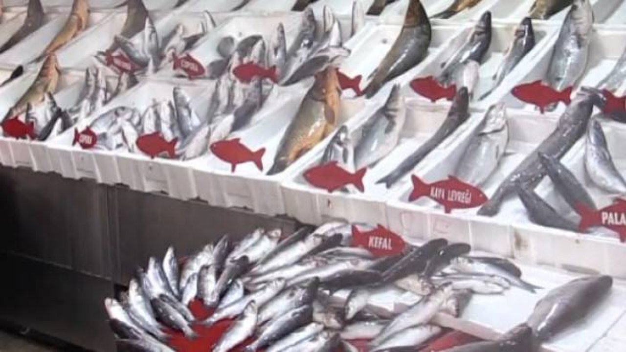 KONYA’DA YENİ SEZONUN BALIKLARI TEZGÂHTA