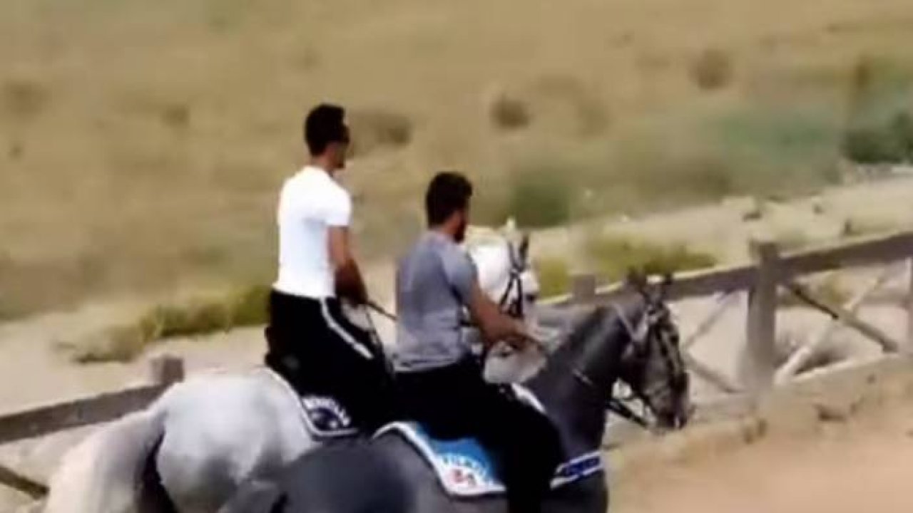 Konya Rahvan At Çiftliği