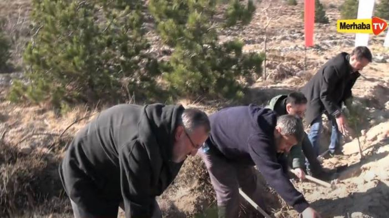 Konya Basını Gazeteciler Hatıra Ormanına Fidan Dikti