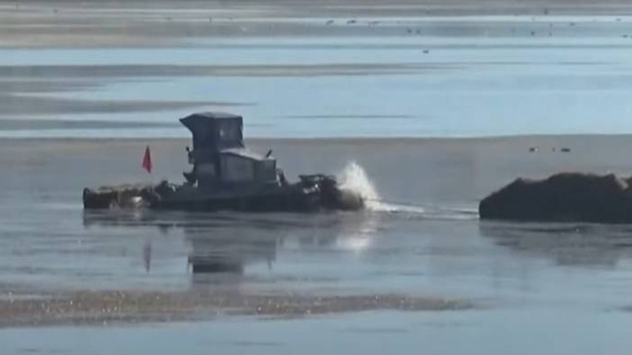 Konya'daki Beyşehir Gölü alarm veriyor