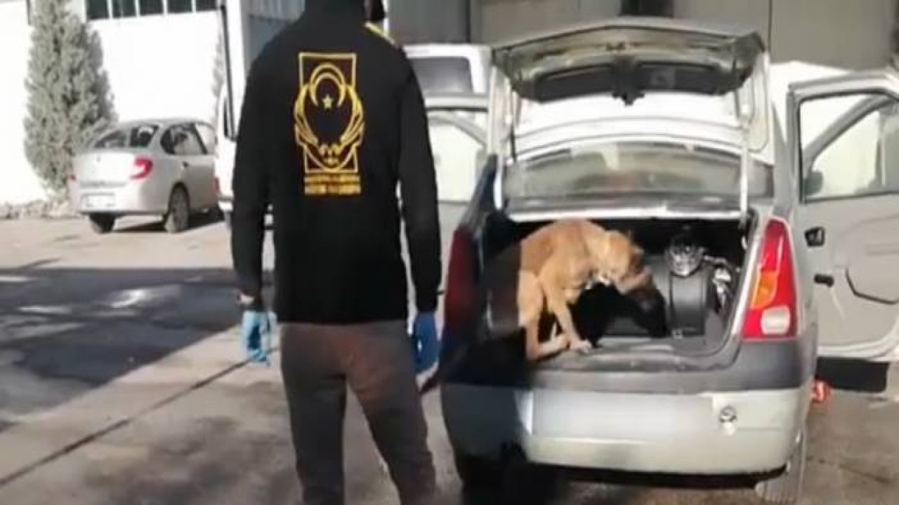 LPG tankında 11 kilo 860 gram esrar ele geçirildi