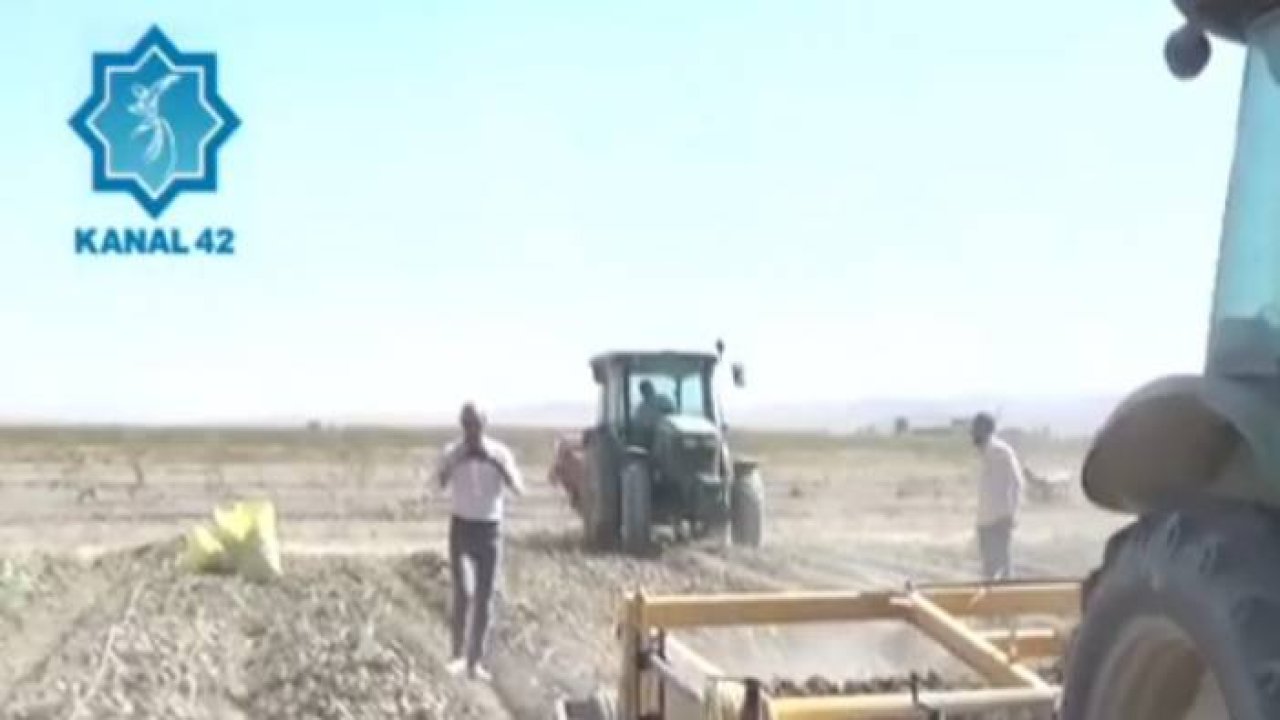 Konya Ovasını bu sene yağışlar nasıl etkiledi?