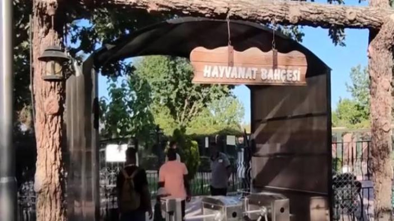 Konya hayvanat bahçesi