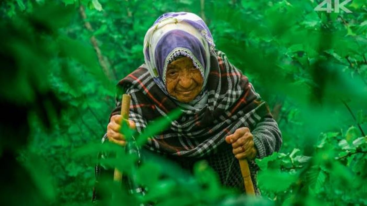 Asırlık Ömür - Şükriye Ninenin Yalnız Hayatı
