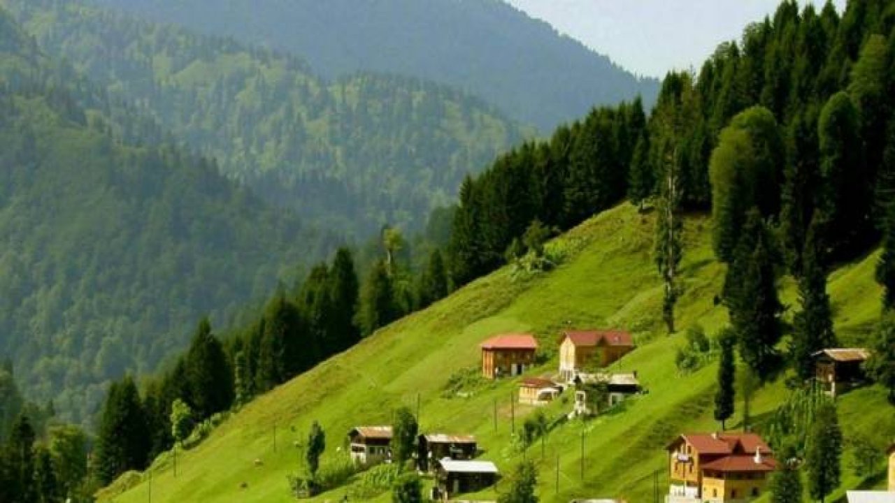 Karadeniz Ormanları