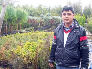 Fidan dikmek isteyenler elini çabuk tutsun