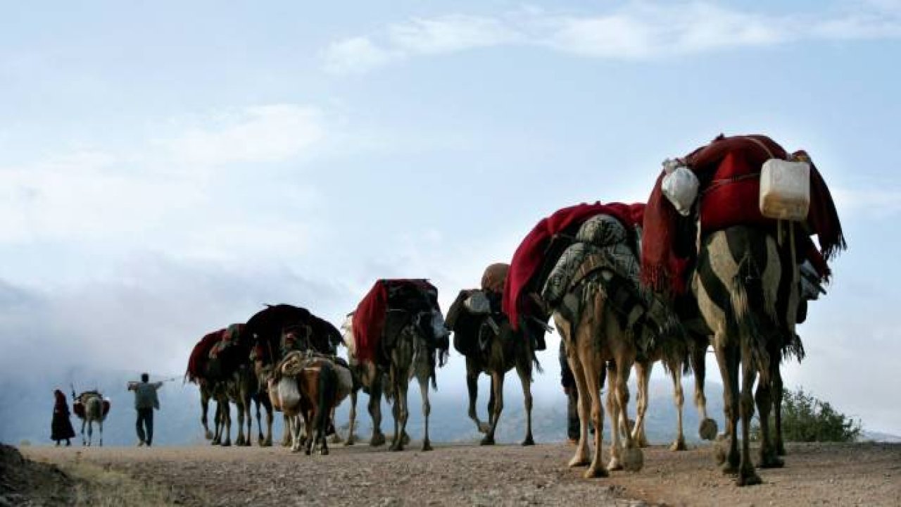 Anadolu'nun En Sıra Dışı Göçü