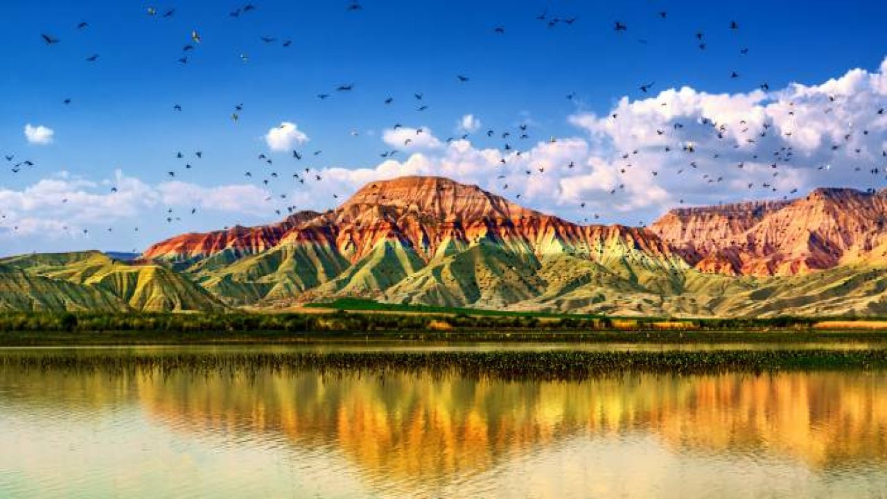 Nallıhan Kuş Cenneti