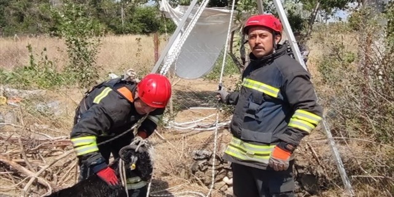 Konya'da kuyuya düşen keçi için hummalı çalışma
