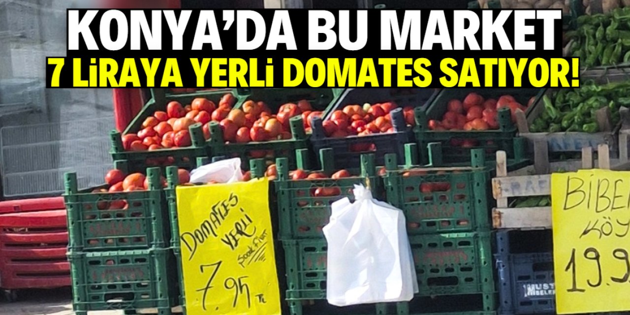 Konya'da bu market 7 liraya yerli domates satıyor!