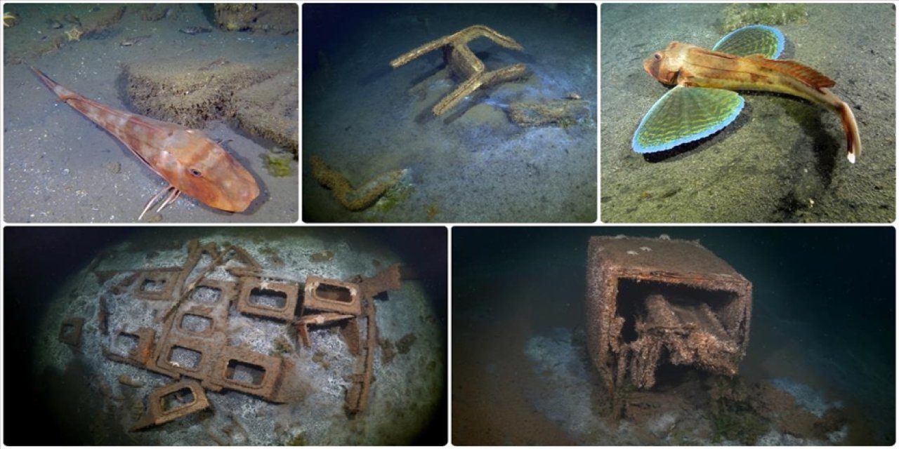 Marmara Depremi'nin merkez üssü Gölcük'te deniz dibindeki afet izleri görüntülendi