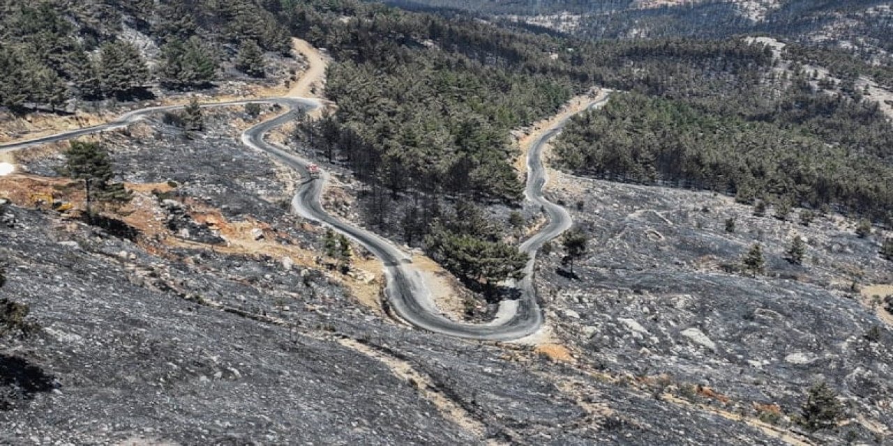 Bu alanlarda avlanmak yasaklandı