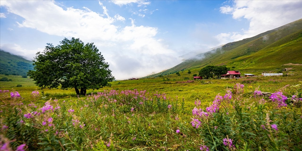 Tatilcilerin rotası değişti