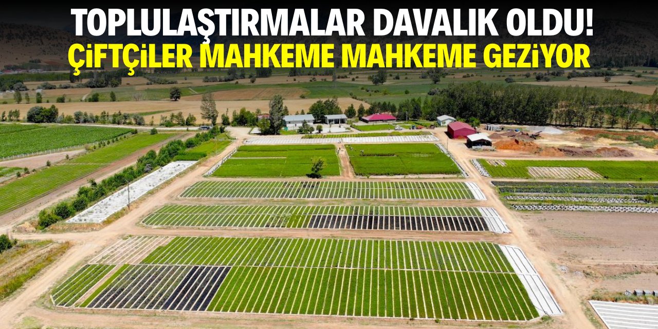Toplulaştırmalar davalık oldu! Çiftçiler mahkeme mahkeme geziyor