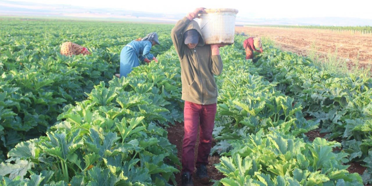 450 bin çiftçi kayıt altında