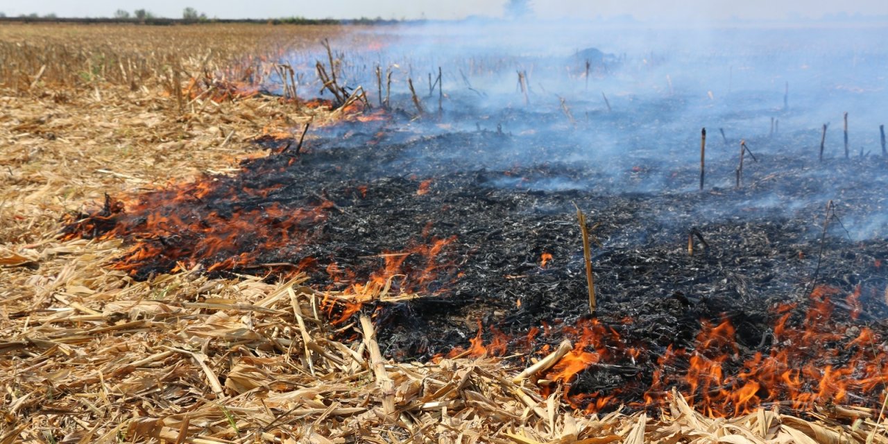 Anız yakmak büyük zarar veriyor!
