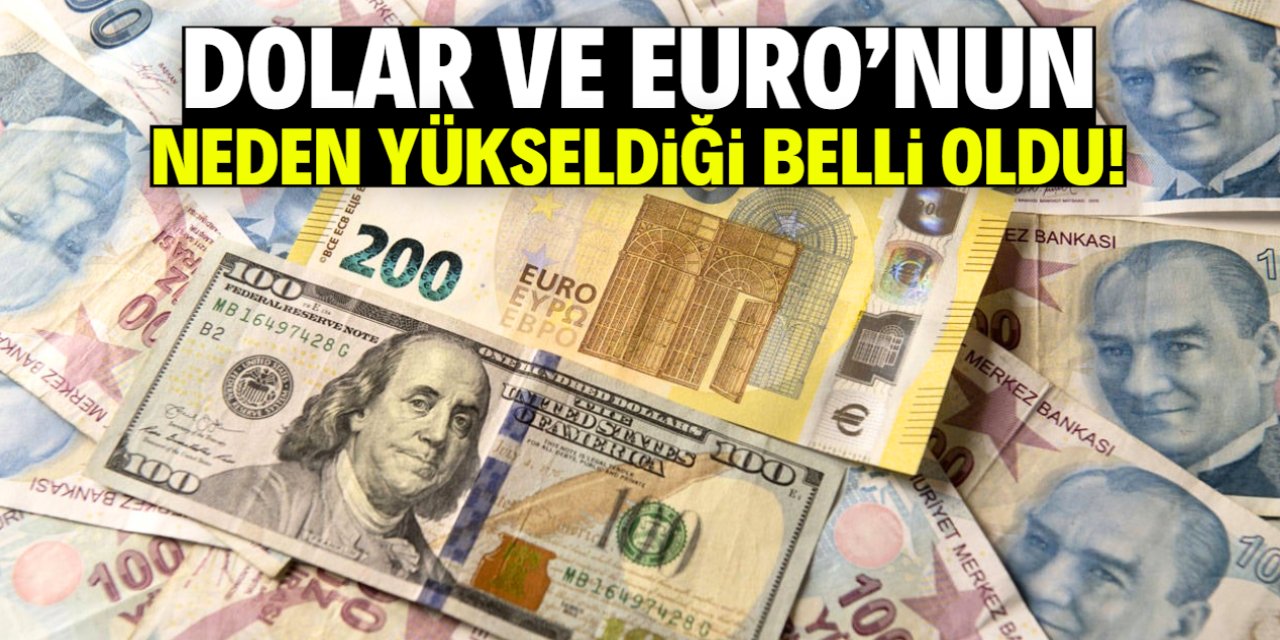 Dolar ve Euro neden yükseliyor? Gerekçesi şaşırtıcı