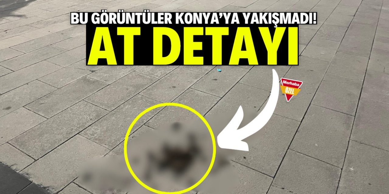 Bu görüntüler Konya'ya yakışmadı! At detayı
