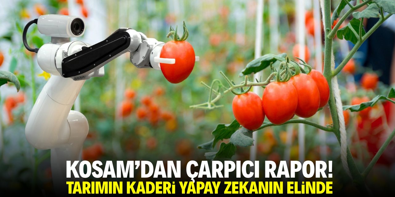 KOSAM'dan çarpıcı rapor! Tarımın kaderi yapay zekanın elinde