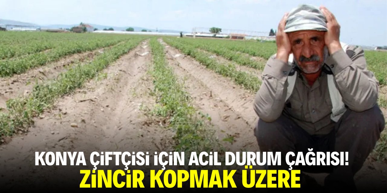 Konya çiftçisi için acil durum çağrısı! Zincir kopmak üzere