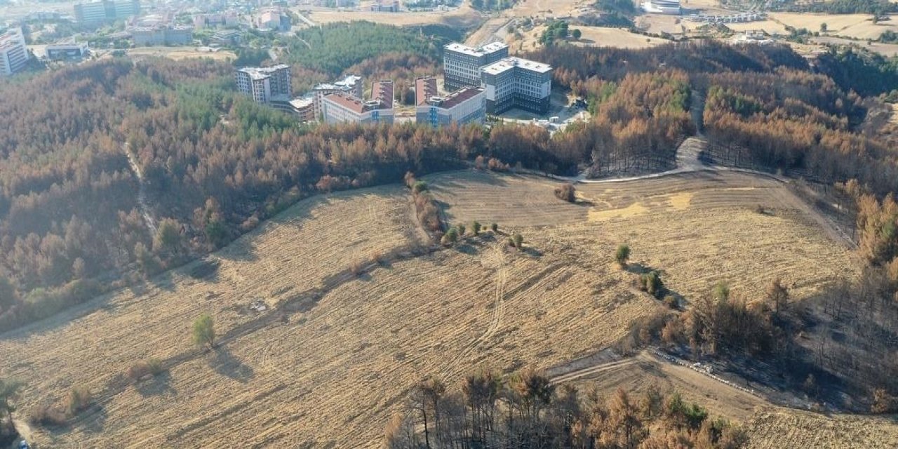 Anızı toprağa karıştırmak yangından koruyor