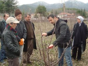 Meyvecilik Araştırma İstasyonu Müdürlüğü Okul Gibi Çalışıyor