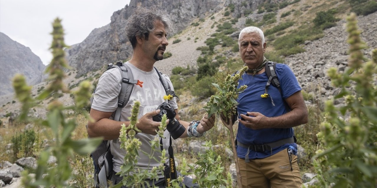 Konyalı akademisyenlerden Tunceli'de buluş