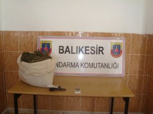 Balıkesir'de Yaklaşık 9 Kg. Esrar Ele Geçirildi