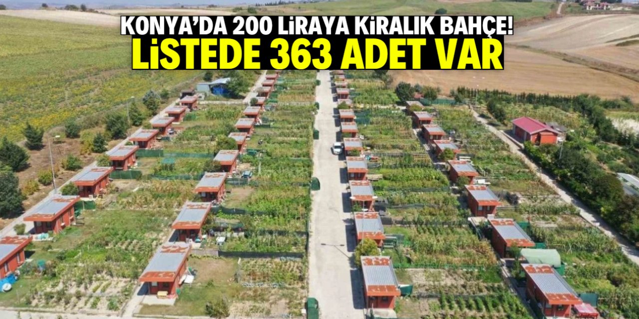 Konya'da 200 liraya kiralık bahçe! Listede 363 adet var