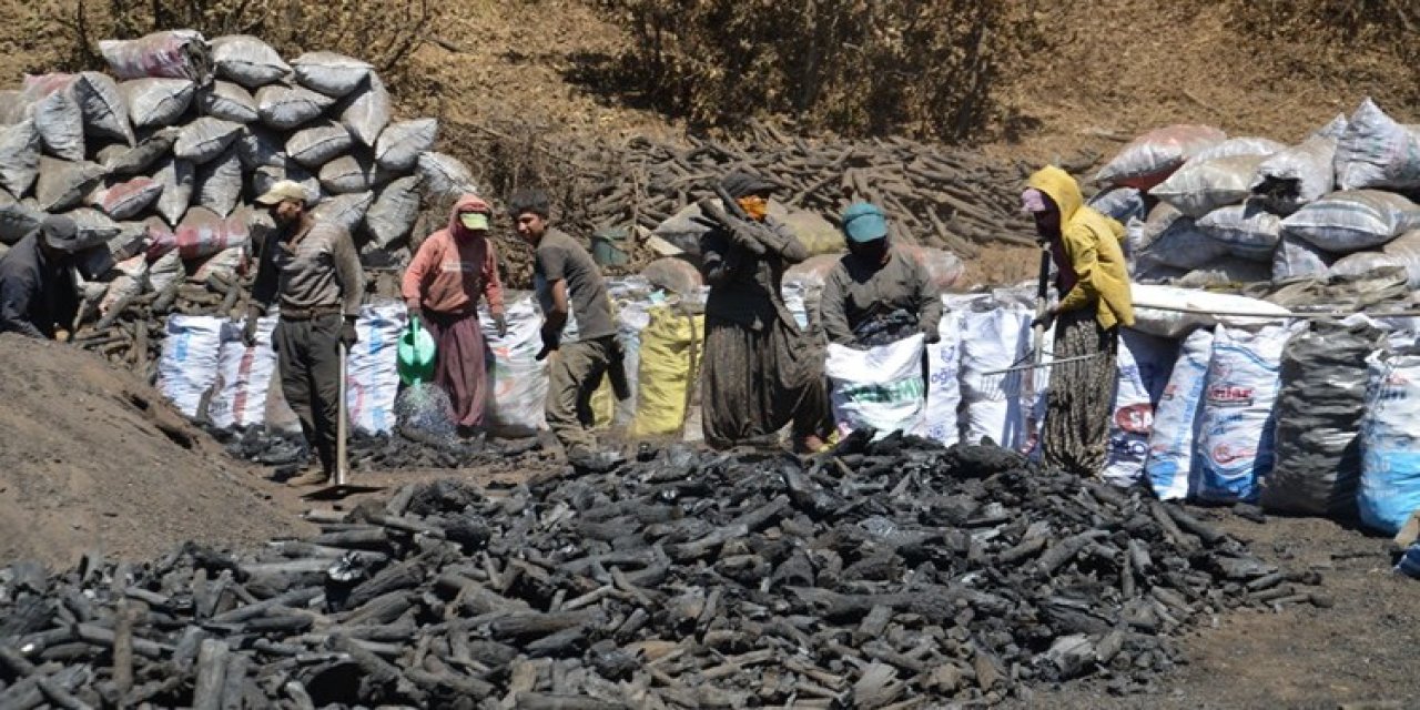 Mangal kömürü üreticilerinin ateşle imtihanı