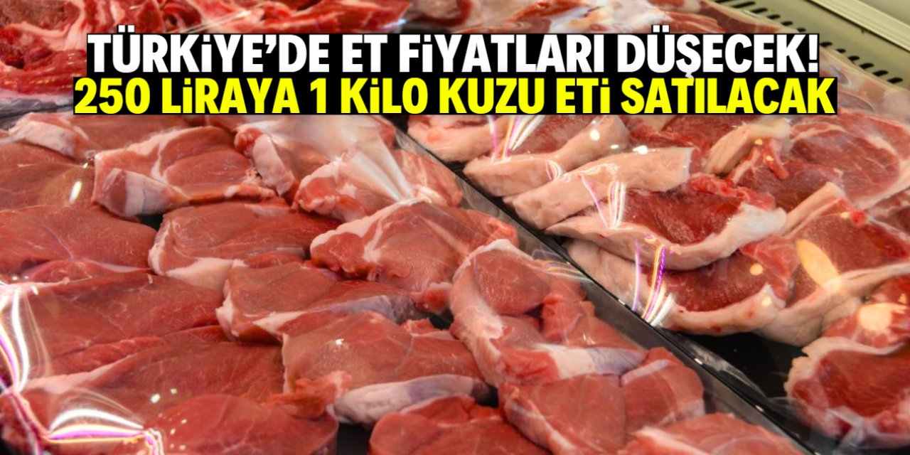 250 liraya 1 kilo kuzu eti satışı başlıyor! Stokta 240 ton var