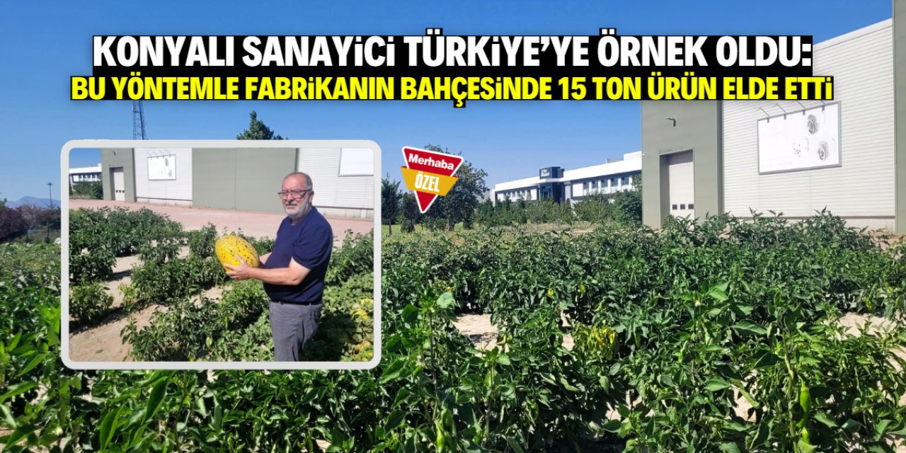 Konyalı sanayici fabrikanın bahçesine 25 TIR kum getirdi! Yaz boyunca 15 ton sebze ve meyve üretti