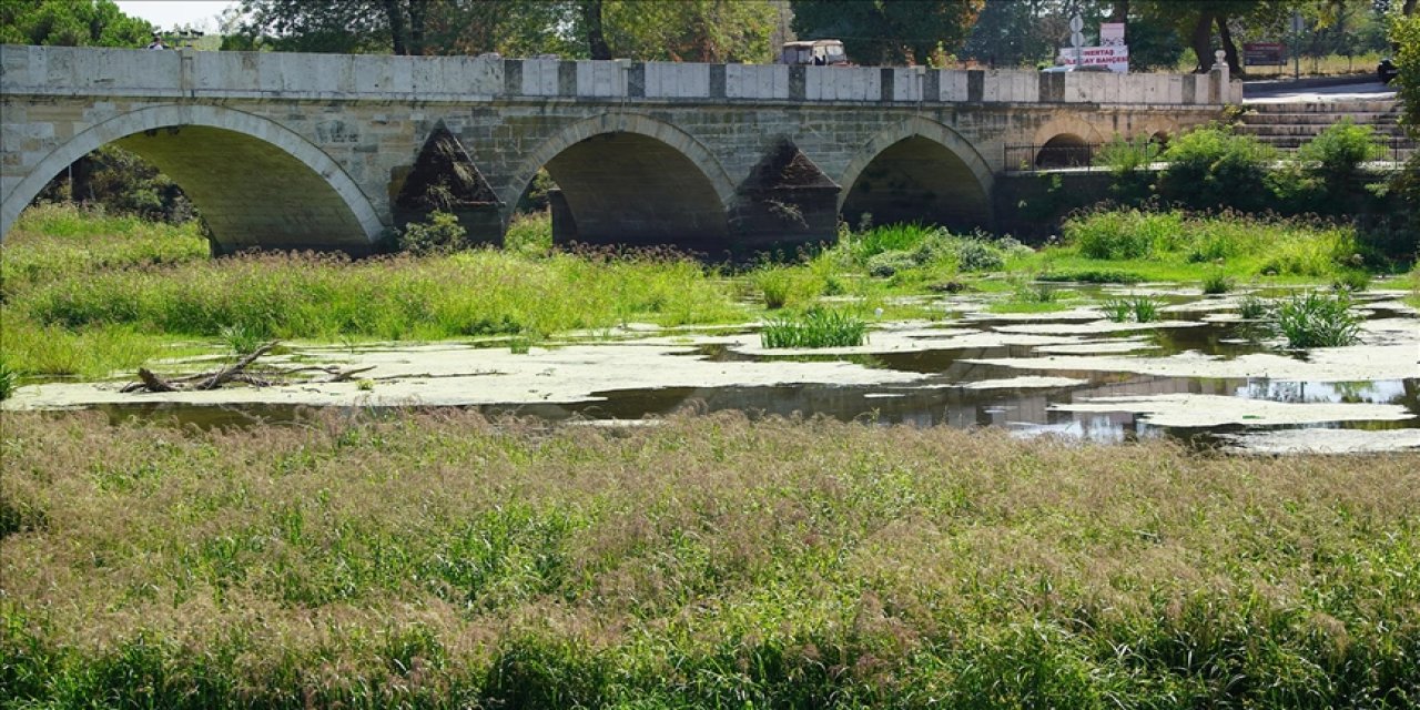 Tunca Nehri'nde kuraklık nedeniyle su akışının durduğu alanlar ot öbekleriyle kaplandı