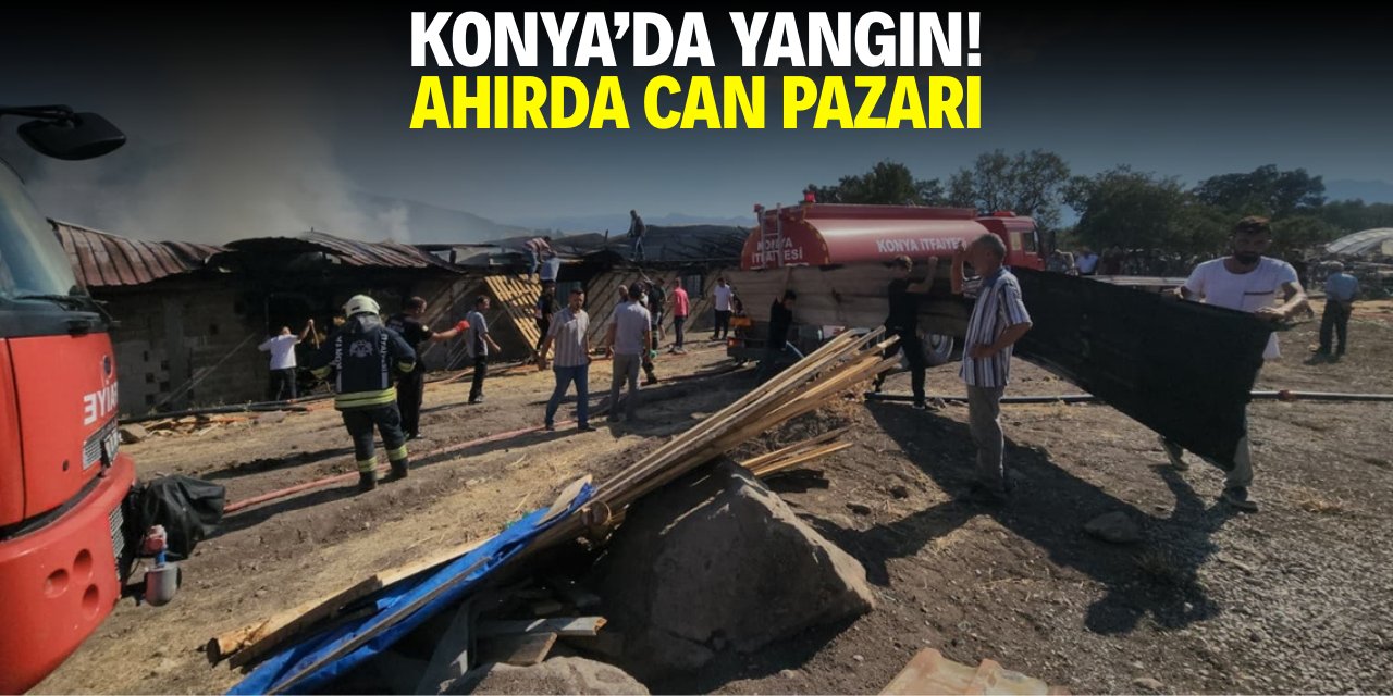 Konya'da yangın! Ahırda can pazarı