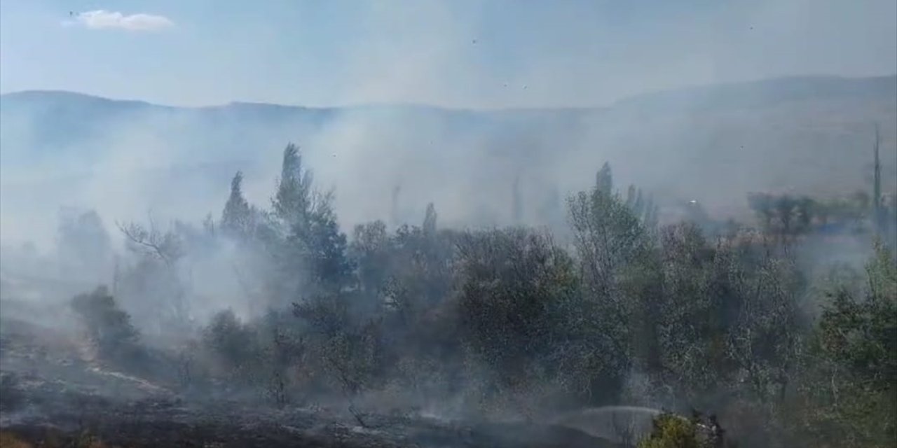 Hüyük'te arazide çıkan yangın korkurttu