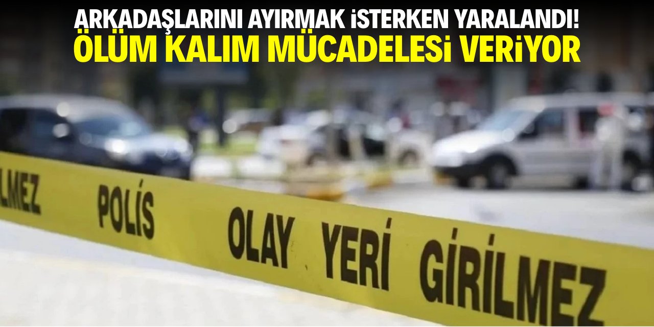 Arkadaşlarını ayırmak isterken yaralandı! Ölüm kalım mücadelesi veriyor